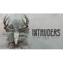 Intruders: Hide and Seek