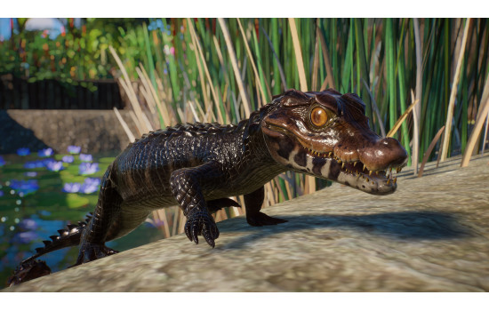 Planet Zoo: Aquatic Pack