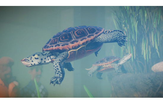 Planet Zoo: Aquatic Pack