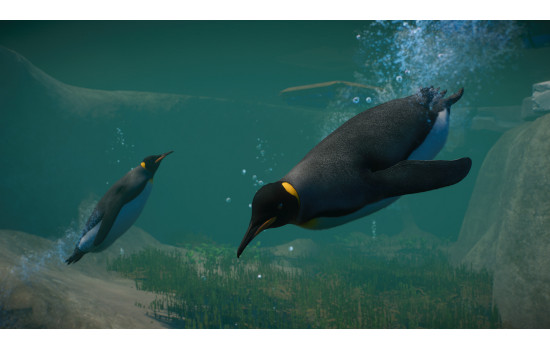 Planet Zoo: Aquatic Pack