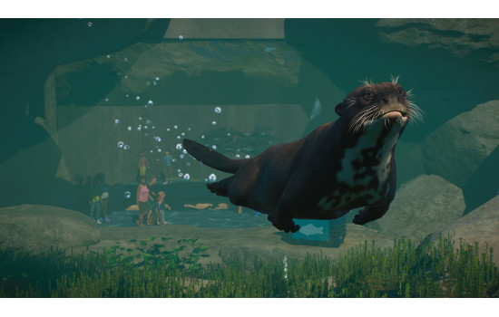 Planet Zoo: Aquatic Pack