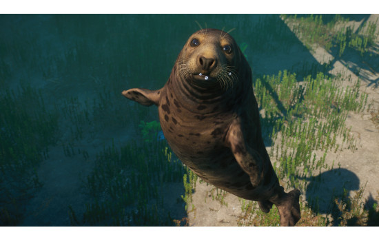 Planet Zoo: Aquatic Pack