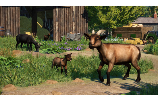 Planet Zoo: Barnyard Animal Pack