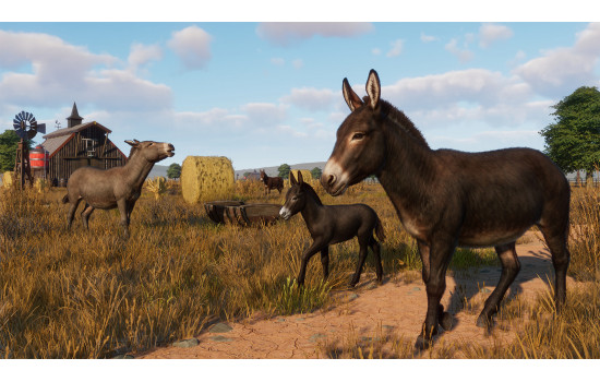 Planet Zoo: Barnyard Animal Pack