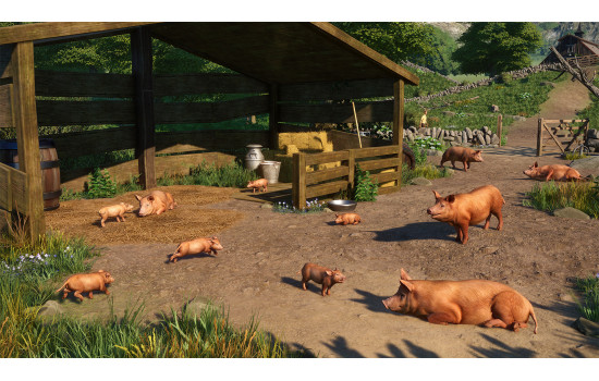 Planet Zoo: Barnyard Animal Pack