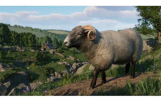 Planet Zoo: Barnyard Animal Pack