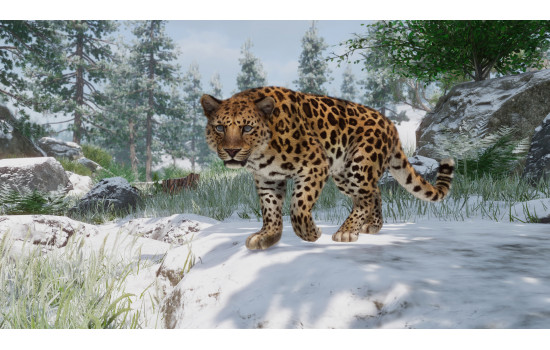 Planet Zoo: Conservation Pack