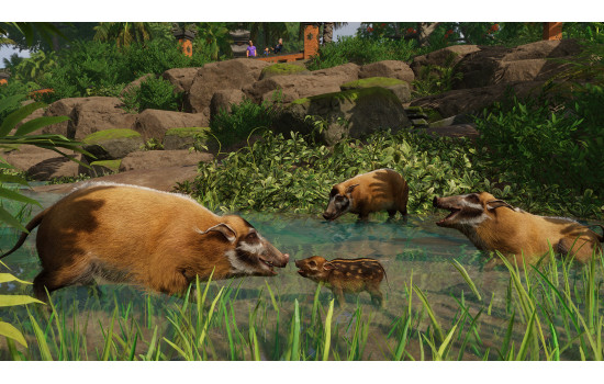 Planet Zoo: Tropical Pack